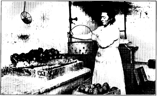How can business be as usual when in Paris there are about 1800 of these small workshops where a woman dips Bengal Fire and grenades into a bath of paraffin!