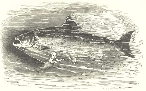 Tom and the salmon