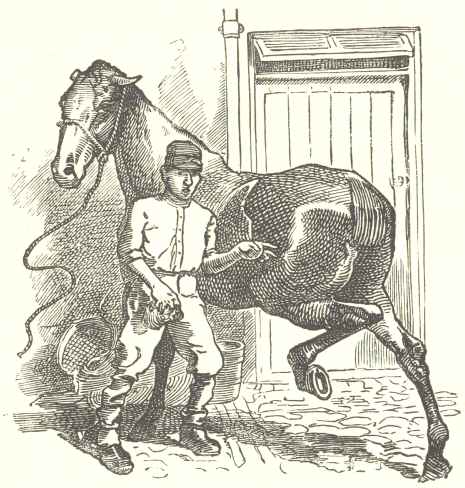 The old steward