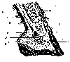 MEDIAN SECTION OF FOOT