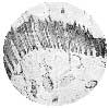 SECTION OF FROG THROUGH CORIUM AND HORN.