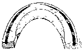 THE INNER MARGIN OF THE INFERIOR SURFACE OF THE HIND-SHOE BEVELLED TO PREVENT OVERREACH.