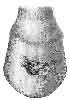 HOOF WITH A CAVITY IN THE SUBSTANCE OF THE WALL FOLLOWING UPON 'TREAD' TO THE CORONET.