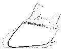 THE SAME FOOT AS IN FIG. 126.
