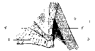 DIAGRAM ILLUSTRATING POSITION OF SEEDY-TOE (INTERNAL).