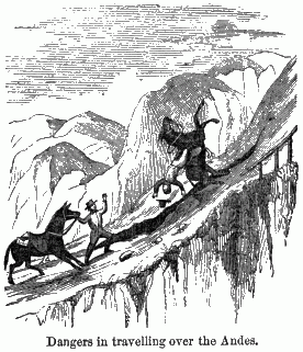 Dangers in travelling over the Andes. A man leading his horse up a mountain pass while another horse falls back throwing its rider.