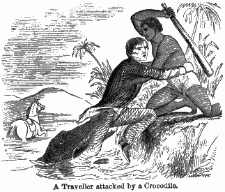 A Traveller attacked by a Crocodile. A man with a crocodile biting his leg being pulled from the water by his guide.