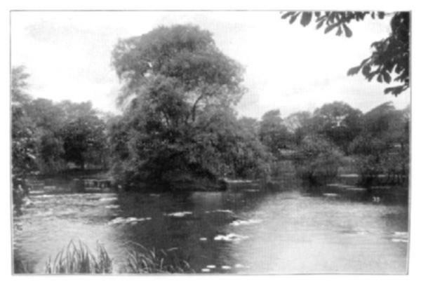 Fishing Pool, Bournville.