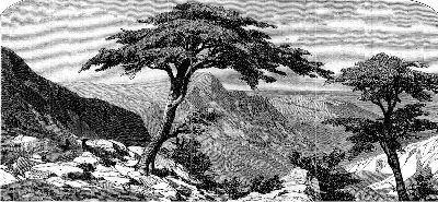 The Peak Of Tirourda.