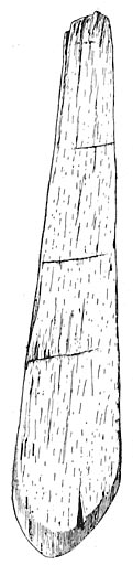 Ploughshare Made of Oak. Length, 20.5 cm.