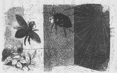 THE SPIDER'S INVITATION.