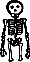 skeleton