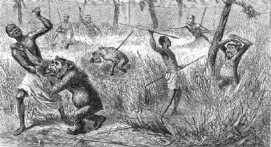 Manuema Hunters killing Sokos