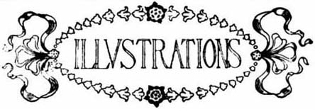 Illustration motif Illustration motif