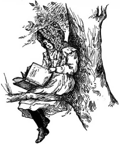 SAT PERCHED AMONG ITS GUARDED BRANCHES. SAT PERCHED AMONG ITS GUARDED BRANCHES.