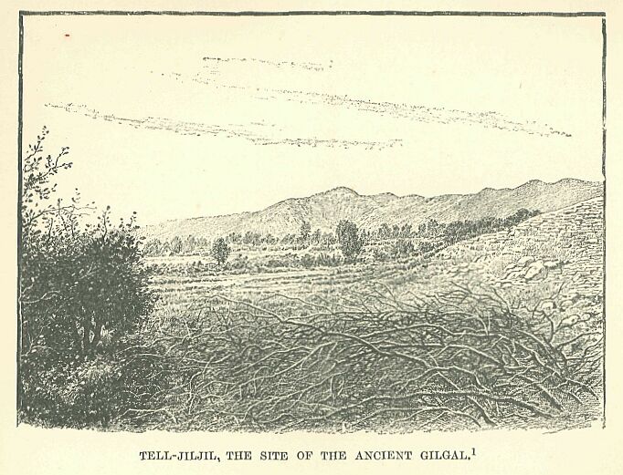 275.jpg Tell
