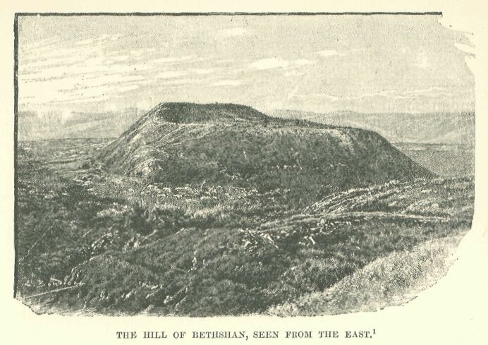 330.jpg the Hill of Bethshan, Seen from The East