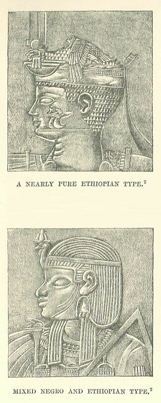 260.jpg a Nearly Pure Ethiopian Type and a Mixed Negro and Ethiopian Type 