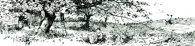 RURAL SCENE, CHAPTER HEADER.