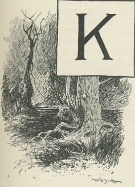 535.jpg Illustrated Capital 