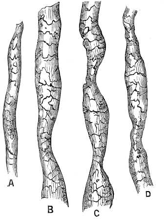 Fig. 13.