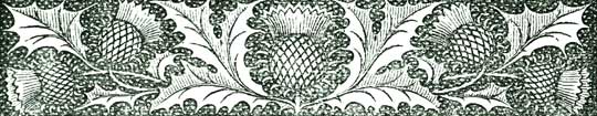 HEADER MOTIF HEADER MOTIF
