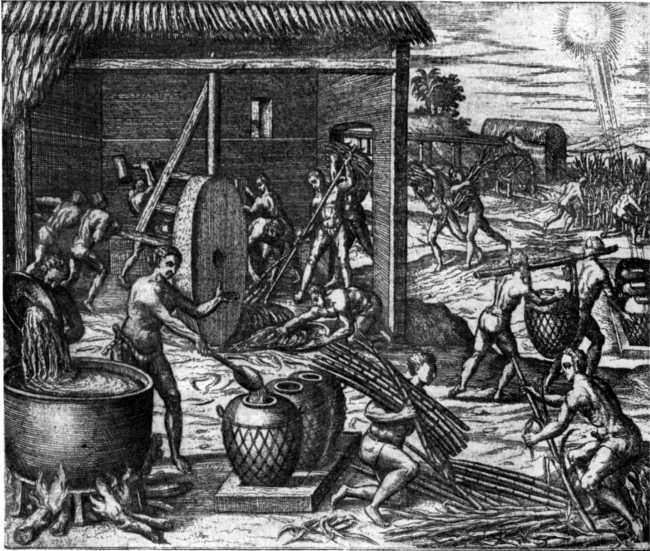 SUGAR-MAKING.