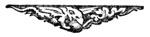 decorative illustration decorative illustration