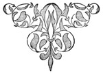 decorative illustration decorative illustration