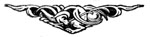 decorative illustration decorative illustration