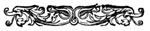 decorative illustration decorative illustration
