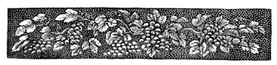 decorative illustration decorative illustration