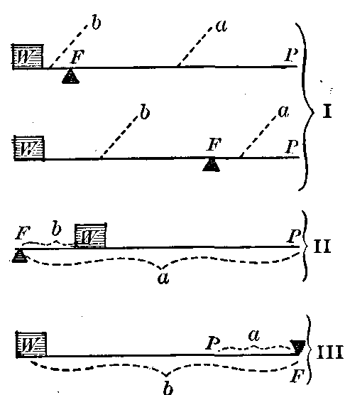 Fig. 115—Classes of levers. I. Two levers of first class showing fulcrums in different positions. II. Lever of second class. III. Lever of third class. F. Fulcrum. P. Power. W. Weight. a. Power-arm. b. Weight-arm. Fig. 115