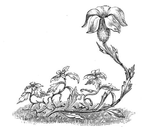 Fig. 31.