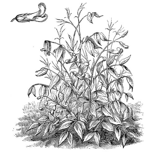 Fig. 70.