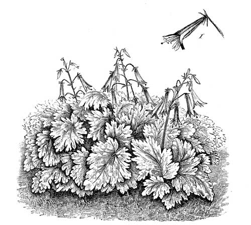 Fig. 71.