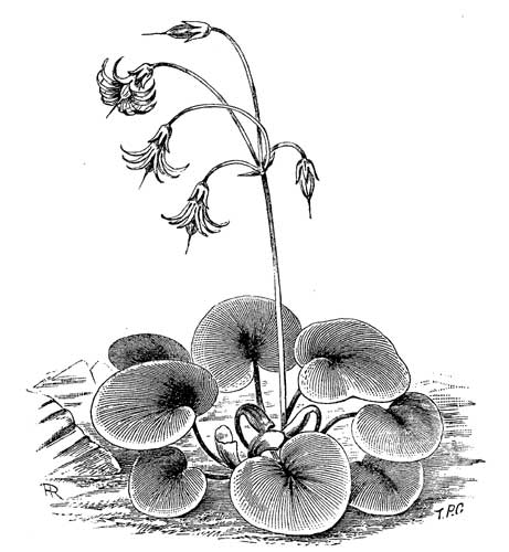 Fig. 98.