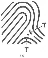 Fig. 14 Fig. 14