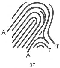 Fig. 17 Fig. 17