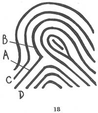 Fig. 18 Fig. 18