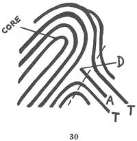 Fig. 30 Fig. 30