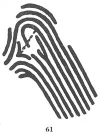 Fig. 61 Fig. 61