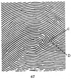 Fig. 67 Fig. 67