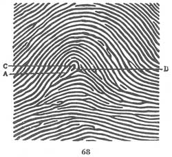 Fig. 68 Fig. 68