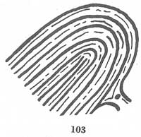 Fig. 103 Fig. 103