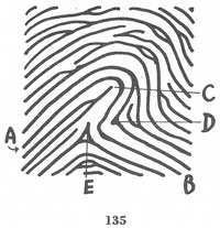 Fig. 135 Fig. 135
