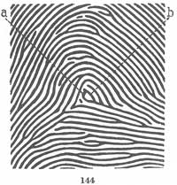 Fig. 144 Fig. 144