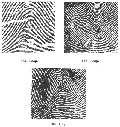 Figs. 182-184 Figs. 182-184