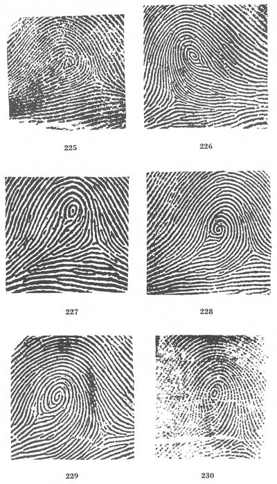 Figs. 225-230 Figs. 225-230