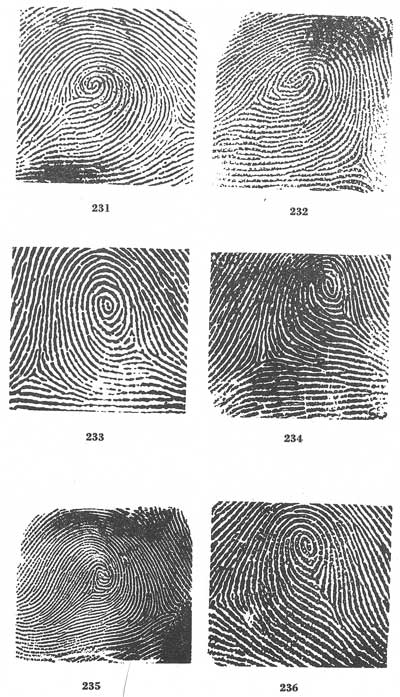Figs. 231-236 Figs. 231-236